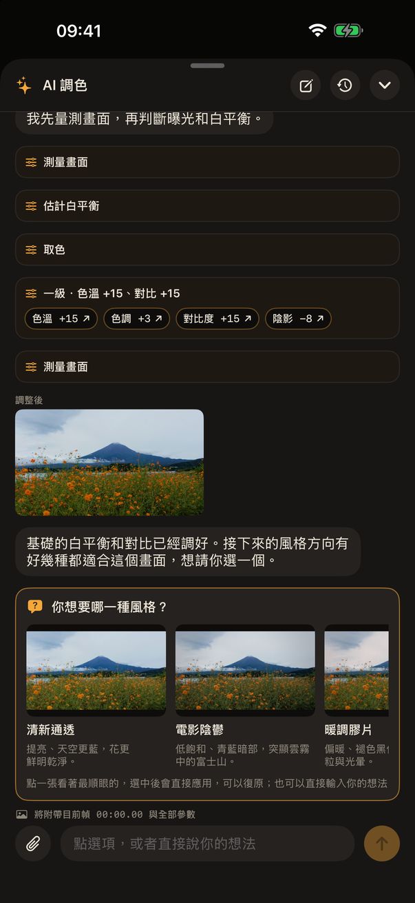 AI 調色詢問往哪個方向調，每個選項都帶預覽圖