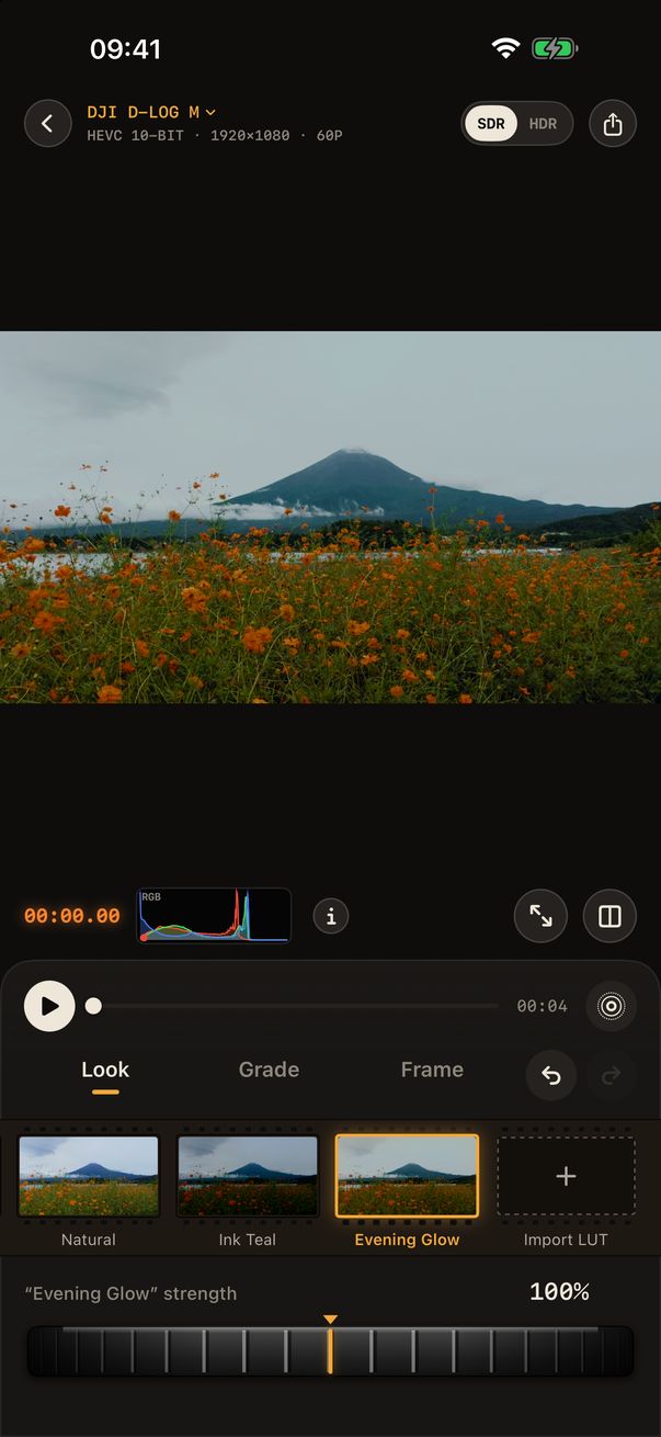 Develop Log editor with a film look applied and the look strip below the picture