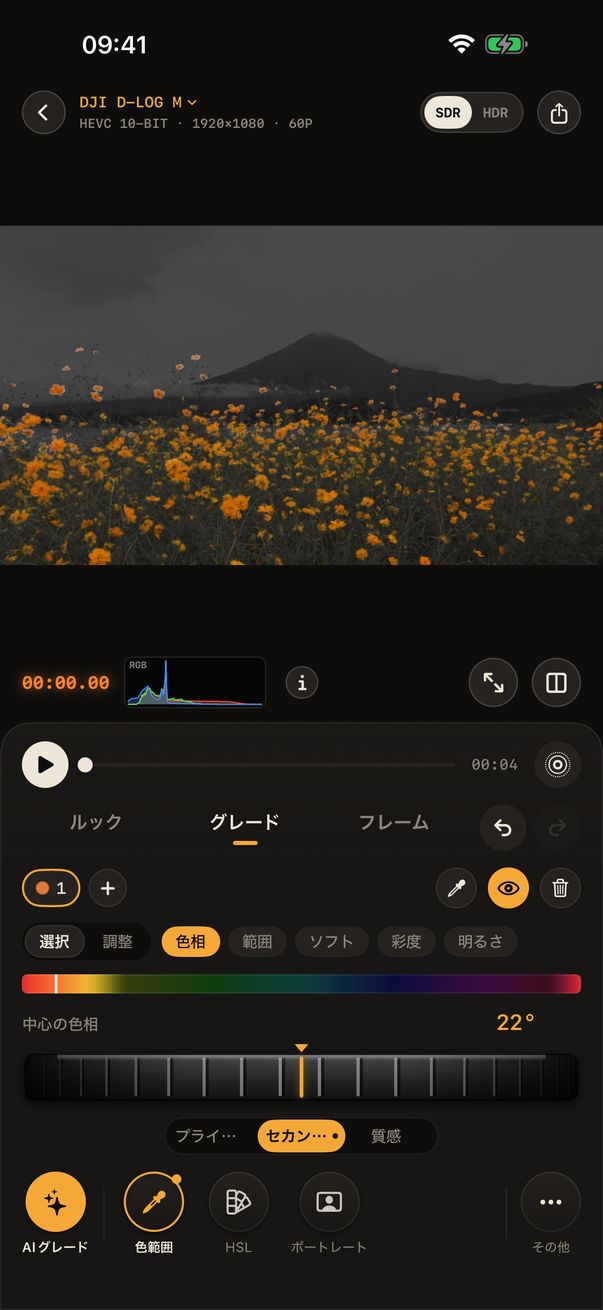 色範囲：オレンジの花だけが色を残している