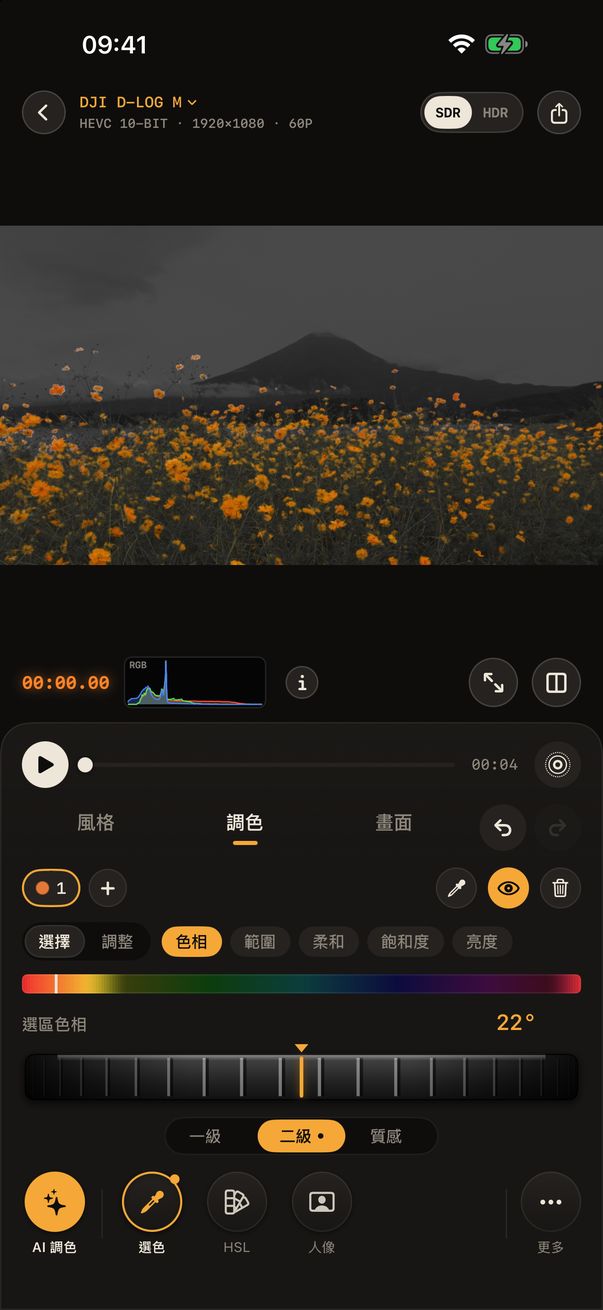 選色：只有橙色的花保留顏色